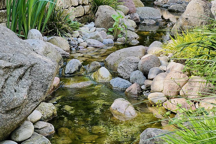 Glende Gartenbau Landschaftsbau Wasser im Garten: Beispiel Bachlauf Teich Gestaltung Region Hannover